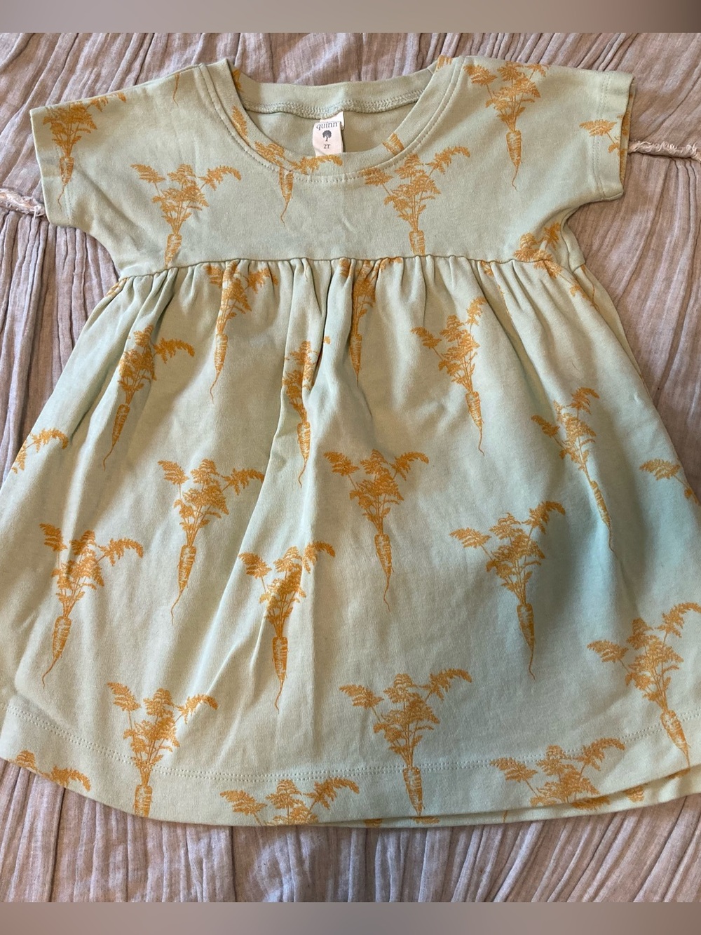 Kate Quinn Carrot Dress